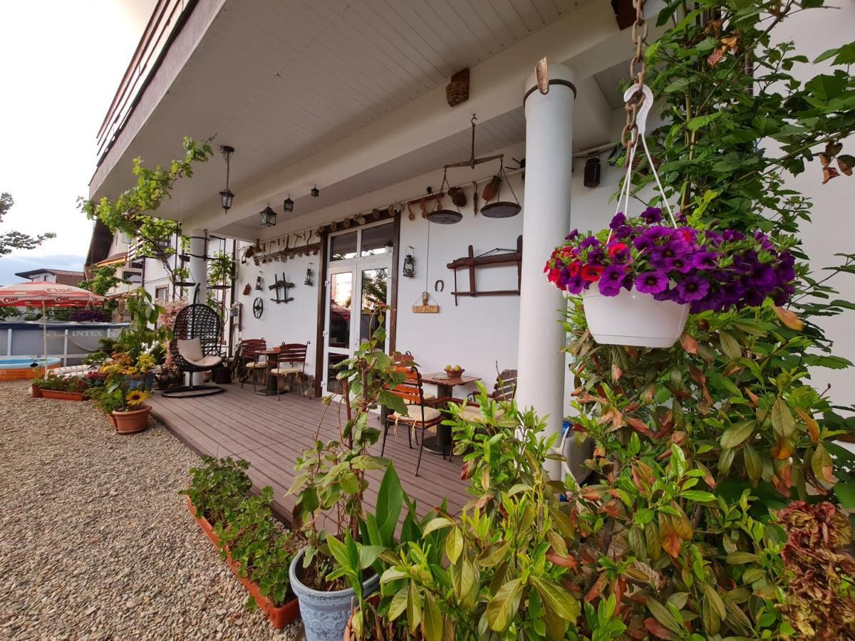 Casa Aryan Apartment Sanpetru Exterior photo